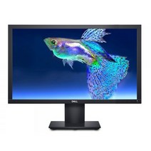 델 49.53cm 모니터 E2020H