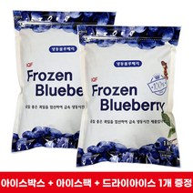 과일 냉동 블루베리 1kg 2팩 드라이아이스 1개 무료 증정 최상급 미국산 생과 100% IQF 공법 급속 냉동 지퍼백 건강한 간식 홈카페 가정용 업소용 에이드 스무디, 2개