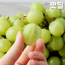 [맛딜]아삭아삭 껍질째 먹는 애플청포도2kg, 단품