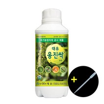 대유 응진싹 500ml + 스포이드 응애 진딧물 화분 화초 텃밭 고추 식물 살충제 해충 관리제 보호제