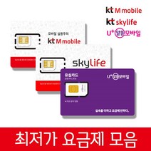kt공식인증/kt알뜰모바일/알뜰폰요금제/무약정/무제한/kt알뜰요금제/후불LTE USIM/자급제폰/중고폰/, KT알뜰폰유심