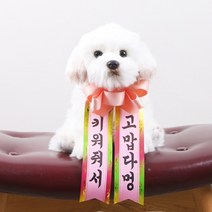 갓샵 인간화환 당일발송ver 강아지형 소형 졸업 결혼식, 12. A/S교환반품절대불가/데려가줘서감사..