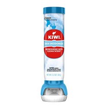 SaraLeeKiwi Fresh Force Shoe Refresher 파우더 프레쉬 향 2.2 oz 신발 탈취 스프레이 풋케어
