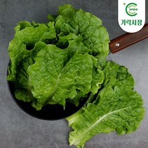 온도씨 [온도씨]가락시장 잎로메인 300g, 단일옵션