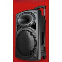 이동식 우퍼 대형 SONY 스피커 앰프 버스킹 공연 행사, 12인치서브우퍼+무선마이크+금속무선마이크