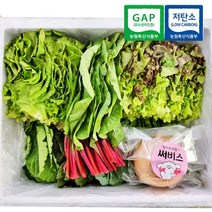 국내산 산지직송 GAP 저탄소 인증 모듬 쌈채소 샐러드채소 쌈야채 600g 1kg, 모듬 쌈채소 600g, 1개