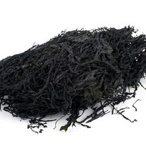 예찬 [완도금일수협] 청정바다 냉풍미역 230g, 냉풍미역 230gx3봉