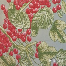 SUSY 이탈리아 직수입 디자인 쥬시매트 주방매트 발매트 거실매트, 15_No.RIBES1