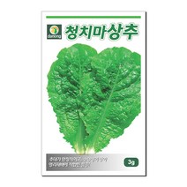 다농 상록청치마상추 씨앗 3g
