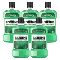 리스테린 후레쉬버스트 250ml x5개, 리스테린 후레쉬버스트 250ml ×