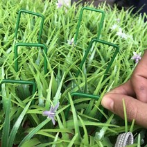농사용 부직포 잡초매트 멀칭핀 제초매트 고정핀 20pc 반 녹색 인공 잔디 정원 U 핀 탄소강 아연 도금 된 못 양산 그물 고정 스테이플, CHINA