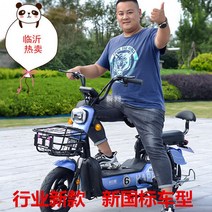 전동 자전거 소형 48V 리튬전지 제주전동바이크 출퇴근 여행 미니 트렁크에실리는 학교통학, 화이트