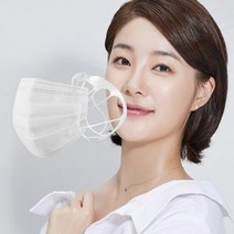 이너가드 마스크지지대 국산 은나노살균 습기제거, 단품