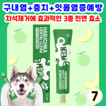펫생각 하루치카 덴탈크린 치약 메론향 맛 강아지 치석 구취 구내염 제거 메론향 맛, 7개