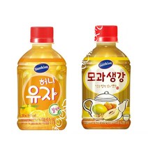 해태 허니유자모과생강 280ml(48펫)택, 허니유자(48펫)
