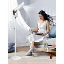 미용실 드라이기 손님용 헤어, 홍콩 마카오 말레이시아 싱가포르 대한민국