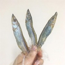[첨가물제로] 동결건조열빙어 고양이수제간식 강아지열빙어 강아지테린 양미리 동결건조간식 도란도란 막내온탑, 열빙어 100g, 100g