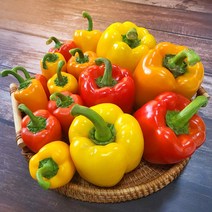 친환경 마음밭 국내산 무농약 미니 라온 파프리카 1.5kg 2.5kg, 미니파프리카 2.5kg