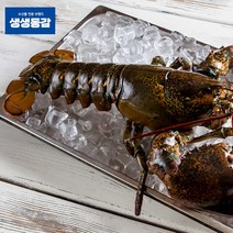 냉동랍스타 650g 자숙랍스터 고씨네 랍스터 킹크랩, 1