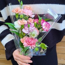 [아이플라워] 꽃정기구독 데일리꽃 전국꽃배달 계절 꽃 생화 정기구독 택배 화훼 농가 꽃재배 꽃다발 생일선물 생화택배, 카네이션꽃다발M