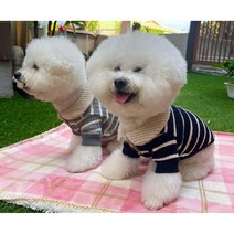 쥬비코 강아지옷 니트 와플 티셔츠, 네이비