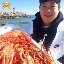 제철 대게 홍게 자숙 찜 박달 구룡포 선주직송 2kg, [신선출발]국산대게(생물or자숙찜), 박달대게 대3마리(찜)_수율90%내외