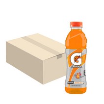 롯데칠성 게토레이 오렌지 600ML 18페트