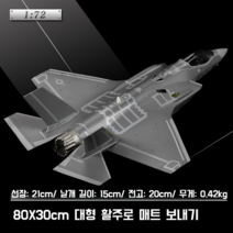 1 72F35A 전투기 모델 시뮬레이션 항공기 합금 번개 미국 항공 모함 기반 금속 군사, 1 72 F-35A1 합금 (액티브 라이브)