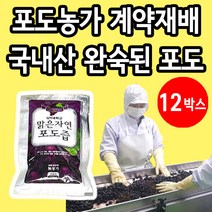 포도농가 계약재배 껍질 씨까지 통째로 착즙 영동 포도즙 12박스