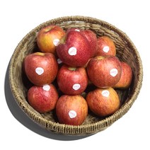 충남 예산 엔비 사과 세척 정품 2kg 3kg, 세척사과 10개입
