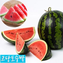 함안수박 하우스 꿀수박 4kg 5kg 고당도 4월 제철 주스용 수박 산지직송, 수박5kg내외, 1개