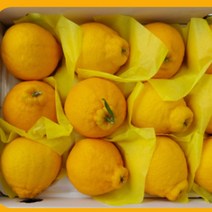 한라봉 제주 과일 프리미엄 가정용 2kg 3kg 5kg 명절 설날 선물 세트 고당도 설, 선물용가방, 선물용 2kg 중대과 5-10과