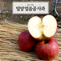 달콤 아삭 밀양 얼음골 사과 5kg 10kg 명절준비 설과일 지인선물, 10kg 34과내