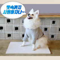 고양이 반려동물 애견 반려견 강아지 대리석 여름 더위 쿨매트 쿨방석 방석 침대 매트, M_그레이