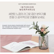 laterior 부드러운 거실 러그