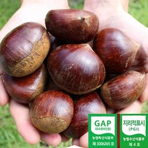 2022년 공주 정안밤 대 2kg 4kg 공주밤 알밤 햇밤 산지직송 GAP인증, 특 4kg