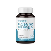 프리벤트라 포커스 마그네슘 400 위드 비타민B6, 90g, 1개, 90정