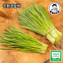 [농사임당] 친환경 무농약 밀싹/밀순 250g/500g, 250g