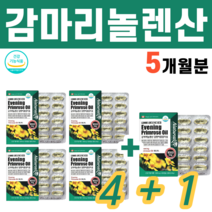 4+1 감마리놀렌산 달맞이꽃종자유 감미리놀렌산 감마리놀산 비타민디 비타민E 불포화지방산 음식 오메가6 혈행 건강 여학생 여자 여성 영양제