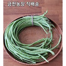 [금천농장] 줄콩 껍질째먹는 줄기콩/롱빈/그린빈스/1kg, 1kg