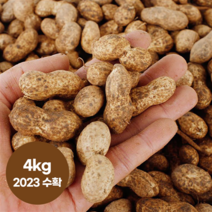 엄마마음 국내산 경북예천 우리토종 햇땅콩 생땅콩 흙땅콩 땅콩, 3kg