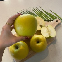 황금사과 시나노골드사과 스위트 홍로 경북 3kg 5kg, 정품 5kg(대과10-12개)