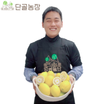 제주 레몬 새콤달콤 달콤함까지 품은 신품종 제라몬 레몬, 제라몬 / 5kg / 25~40과내외