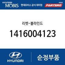 리벳-블라인드 (1416004123) 아반떼HD 뉴 슈퍼 에어로 시티 유니버스 스페이스 유니버스 익스프레스