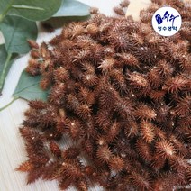 청수생약 국내산 창이자 300g 도꼬마리 말린, 1개