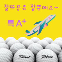 타이틀리스트 Pro V1/V1x 특 A+급 로스트볼 20알