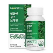 징코 브레인 은행잎 추출물 GINKGO 플라보놀배당체 36mg 기억력개선 혈행개선 도움 비타민 아미노산 함유, 90정, 1개