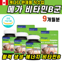 식약처인증 캐나다 완제품 직수입 메가 고함량 바이타민 비타민B 삐 B1 B2 B6 B12 나이아신 판토텐산 비오틴 엽산 복합체 컴플렉스 일상 육아 야근 체력 관리 에너지 활력 충전, 3개