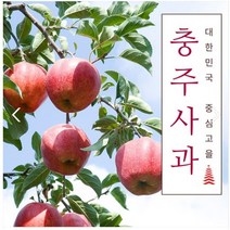 부사 충주사과 3kg 꿀사과 맛있는 건강한과일 아침과일 가을과일, 10과 ~ 11과