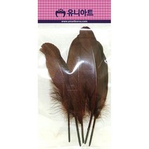 만들기 재료 깃털 1000w 갈색 브로치핀-72394EA 와이조이컴퍼니, 본상품선택, 본상품선택
